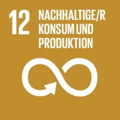 Die Grafik zeigt das nachhaltige Entwicklungsziel Nummer 12 "Nachhaltiger Konsum und Produktion"