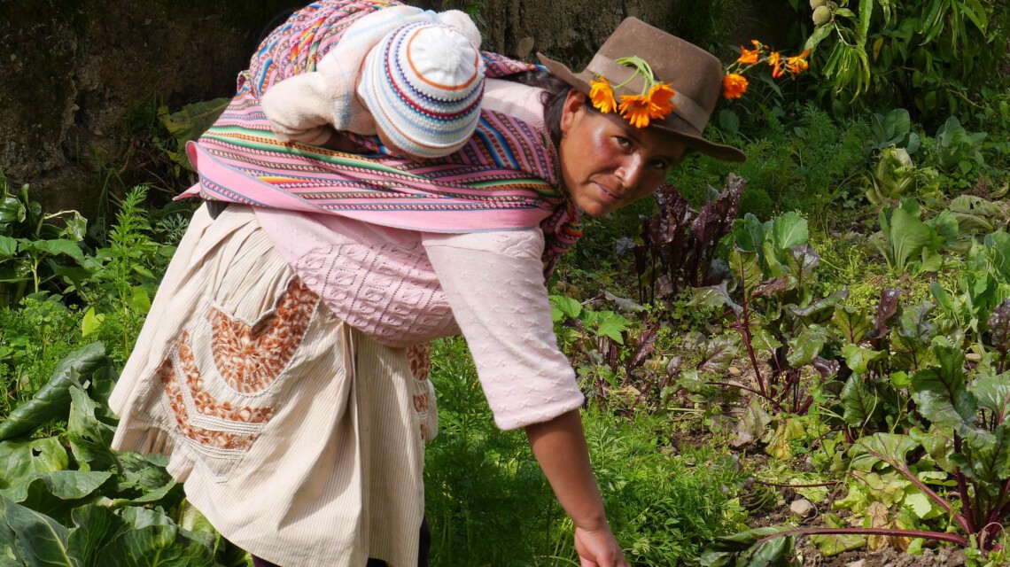 Eine Frau arbeitet auf einem Feld in Peru und hat ein Baby auf ihrem Rücken gebunden.