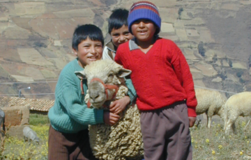 Drei Jungen stehen nebeneinander in Peru, zwischen ihnen ein Lama
